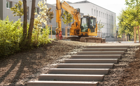 biodiversiteit afbeelding